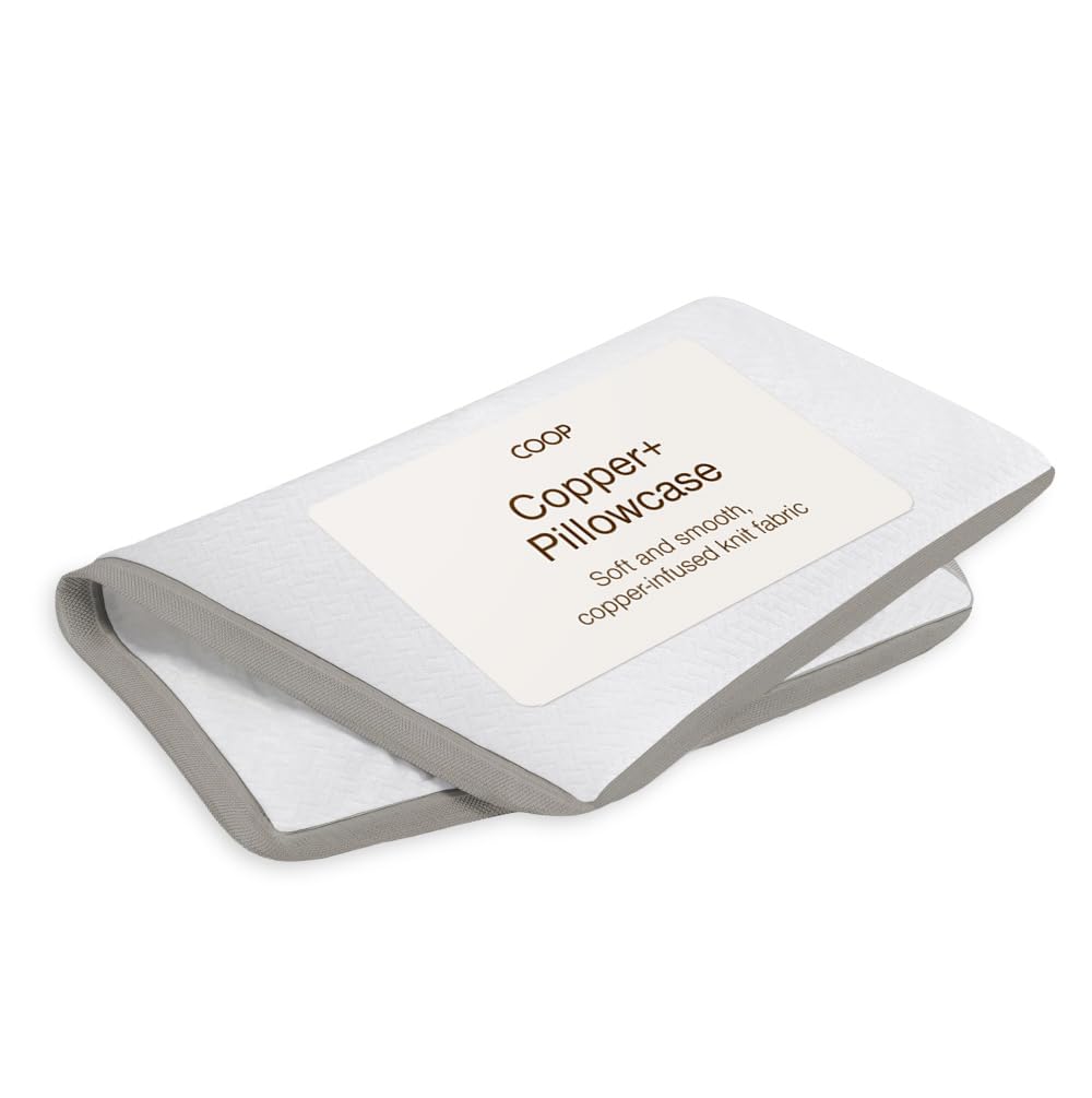 Coop Home Goods Original Pillow Case, Queen Size Pillow Case for Memory Foam Pillows, Breathable Ultra Soft Lulltra Fabric Cover with Zipper, Polyester/Rayon