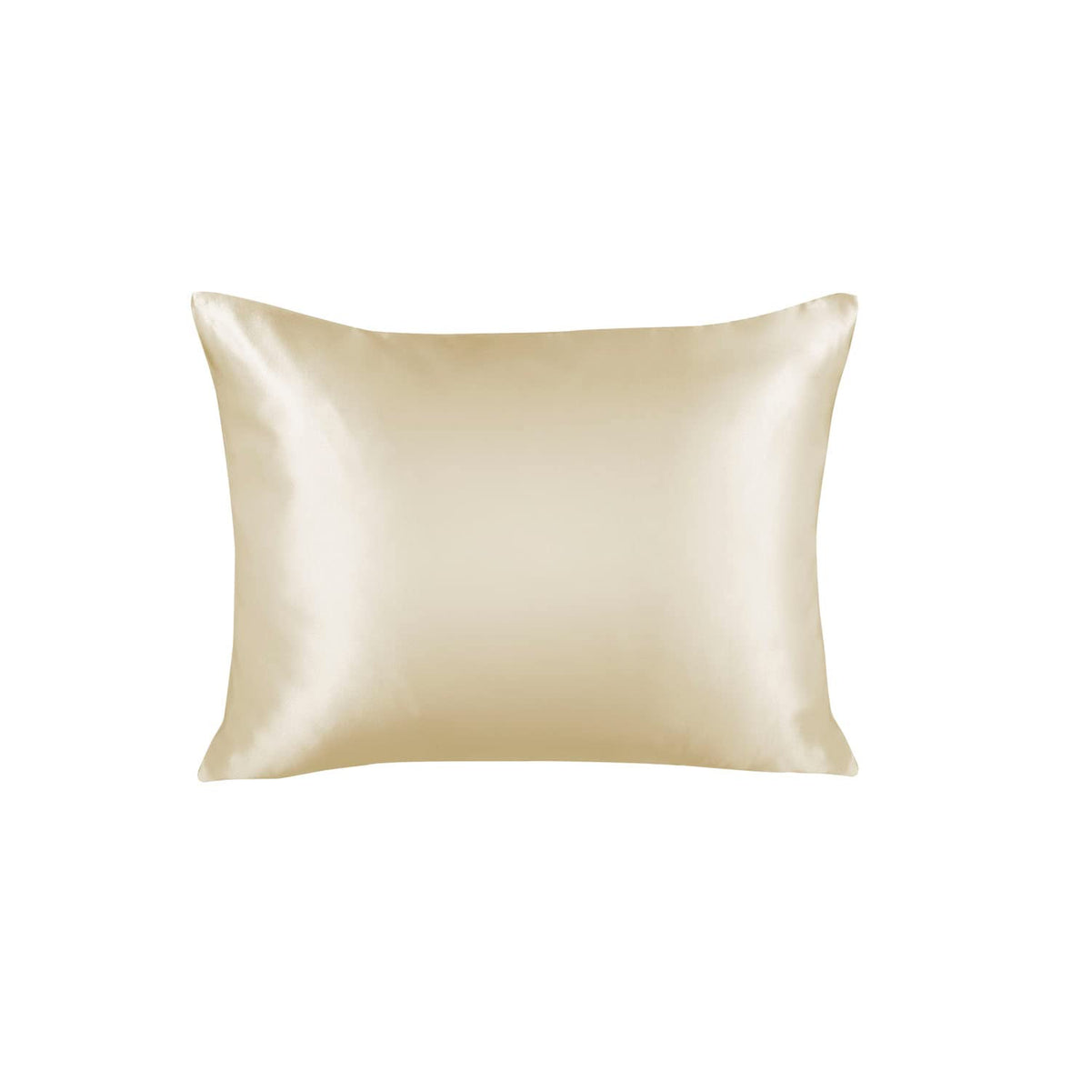 BLISSFORD Satin Pillowcase with Zipper, Like Silk Pillow Cases - Black