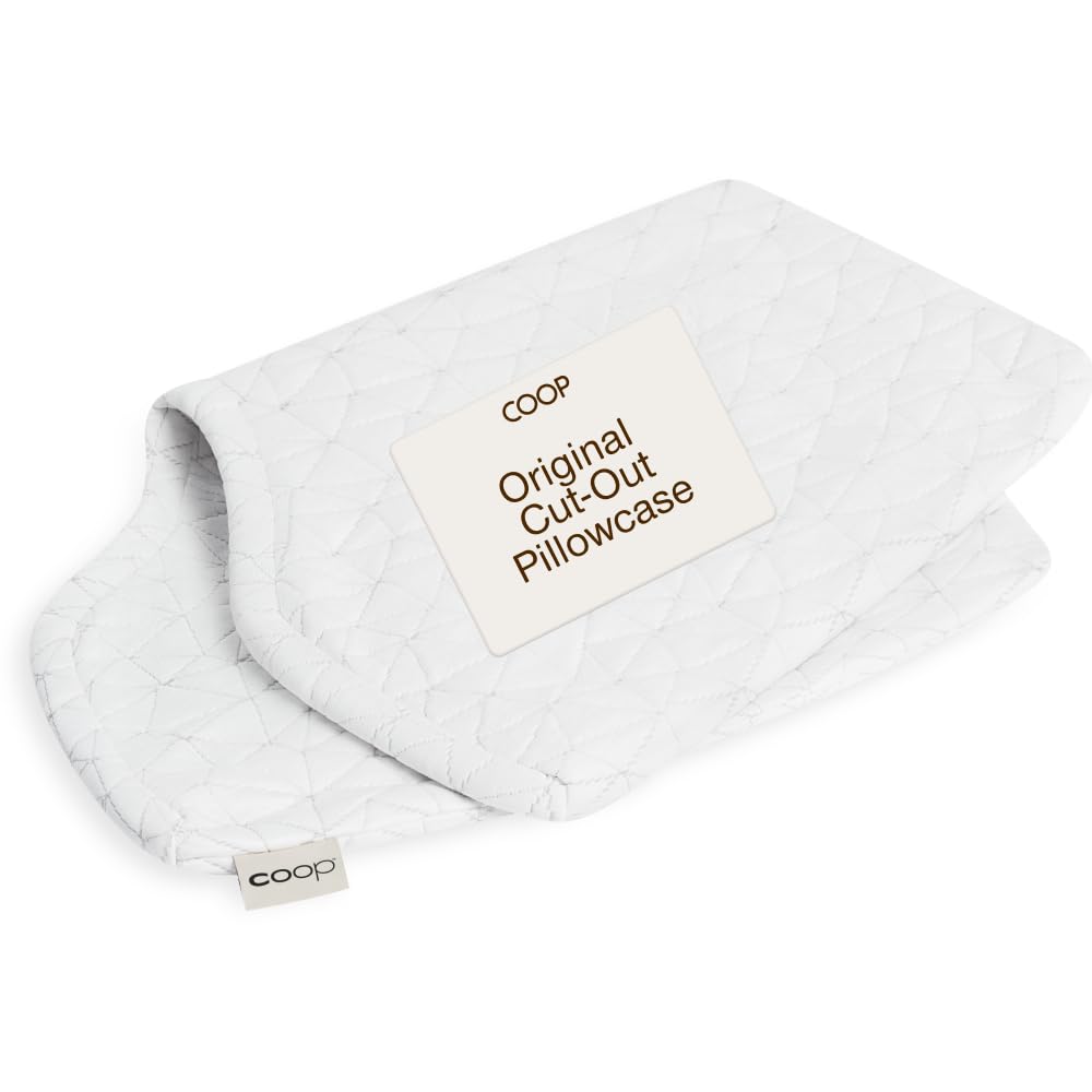 Coop Home Goods Original Pillow Case, Queen Size Pillow Case for Memory Foam Pillows, Breathable Ultra Soft Lulltra Fabric Cover with Zipper, Polyester/Rayon