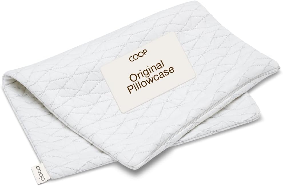 Coop Home Goods Original Pillow Case, Queen Size Pillow Case for Memory Foam Pillows, Breathable Ultra Soft Lulltra Fabric Cover with Zipper, Polyester/Rayon