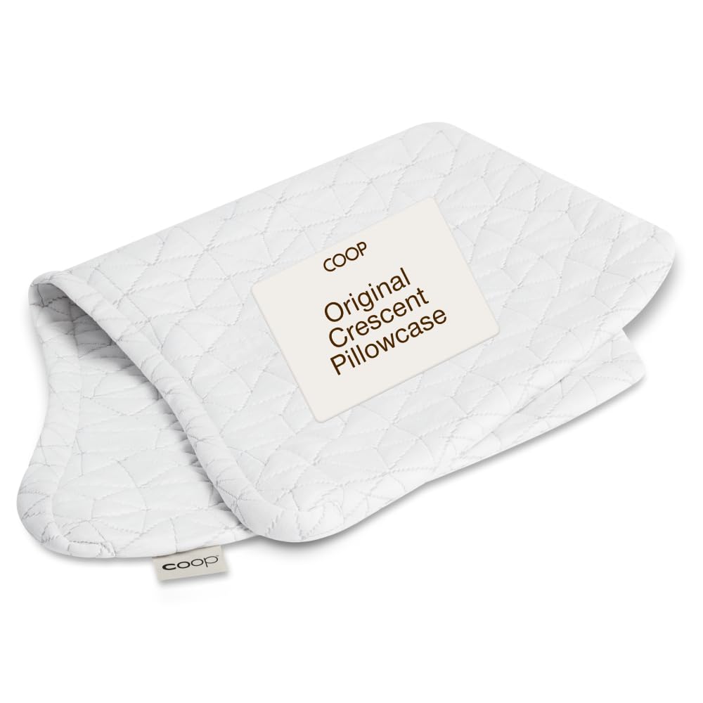 Coop Home Goods Original Pillow Case, Queen Size Pillow Case for Memory Foam Pillows, Breathable Ultra Soft Lulltra Fabric Cover with Zipper, Polyester/Rayon