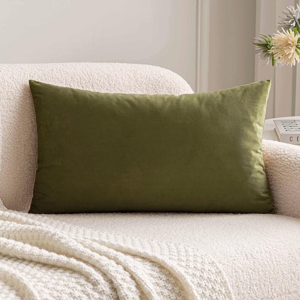 MIULEE Velvet Pillow Cover Soft Luxury Decorative Throw Pillow Cover Single Rectangle Cushion Case for Spring Couch Sofa Bedroom Car Decor,12x20 Inch Sage Green