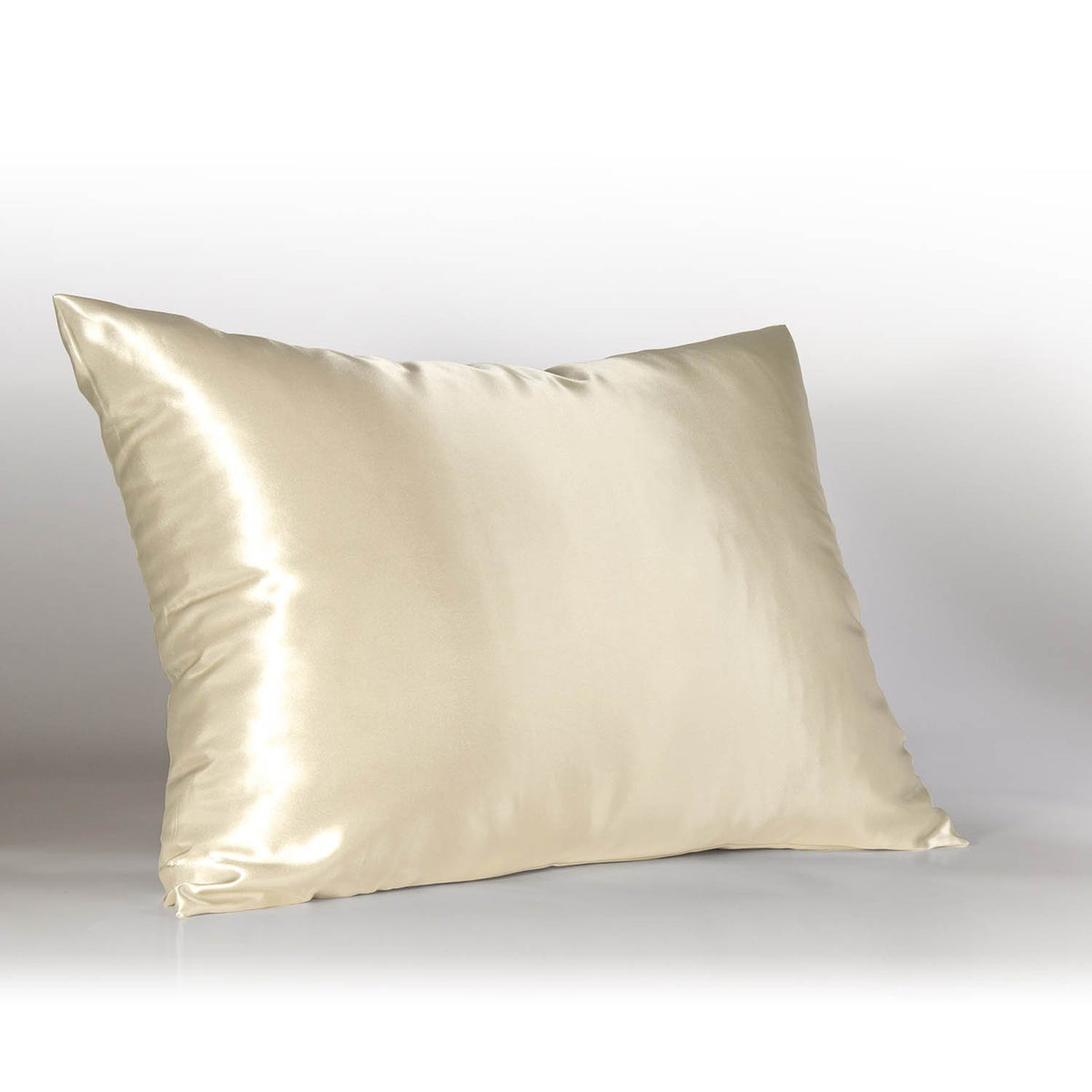 BLISSFORD Satin Pillowcase with Zipper, Like Silk Pillow Cases - Black