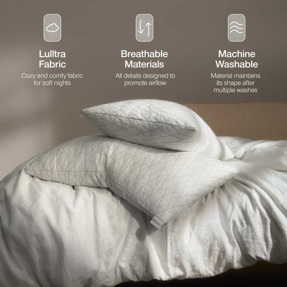 Coop Home Goods Original Pillow Case, Queen Size Pillow Case for Memory Foam Pillows, Breathable Ultra Soft Lulltra Fabric Cover with Zipper, Polyester/Rayon