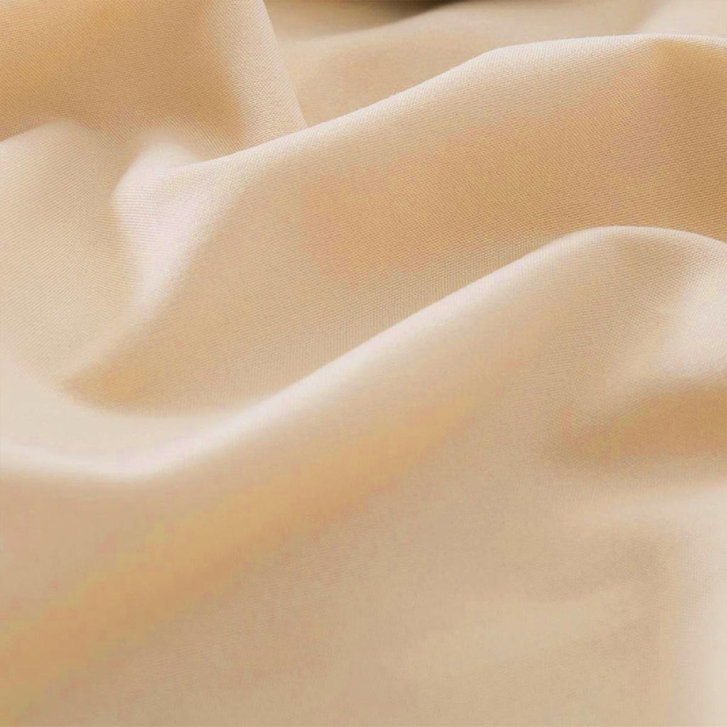 Microfiber Queen Bed Pillowcases 2 Pack, Super Soft Bed Pillow Covers Envelope Closure, Wrinkle, Fade and Stain Resistant, 20x30, Light Beige