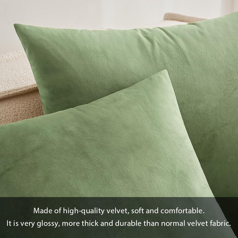 MIULEE Velvet Pillow Cover Soft Luxury Decorative Throw Pillow Cover Single Rectangle Cushion Case for Spring Couch Sofa Bedroom Car Decor,12x20 Inch Sage Green