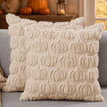DFXSZ Fall Pillow Covers 18x18 2Pcs Beige Pumpkin Fall Decorations for Home